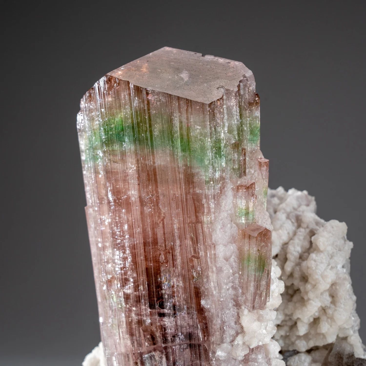 Large Watermelon Tourmaline with Smoky Quartz and Albite