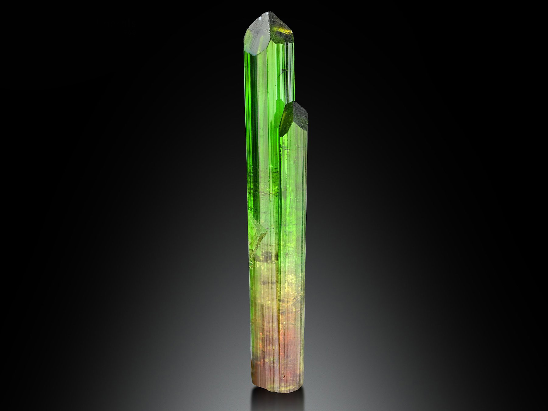 Gem Pederniera Watermelon Tourmaline