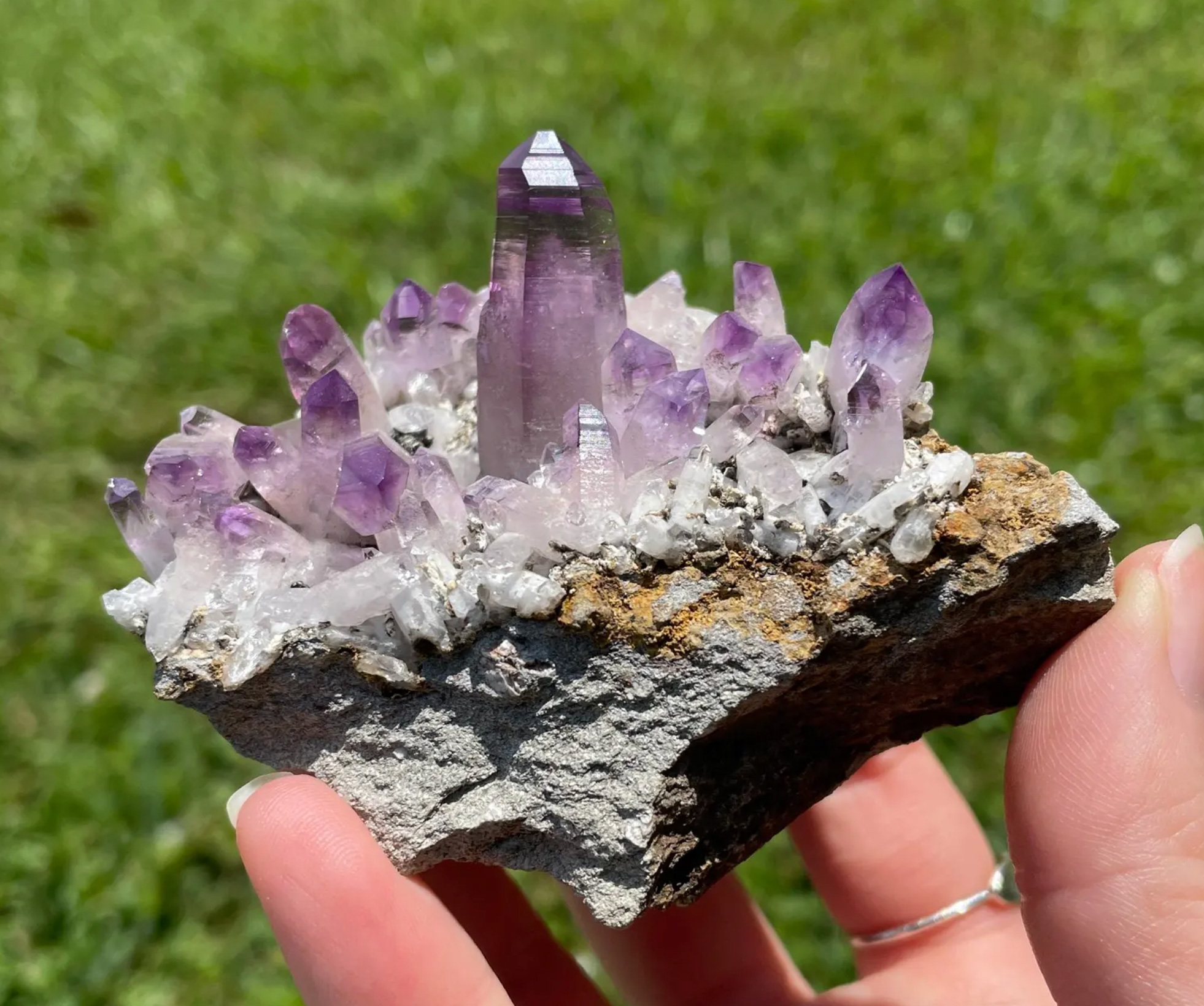 Amethyst Crystal Cluster with Centered Termination - Veracruz