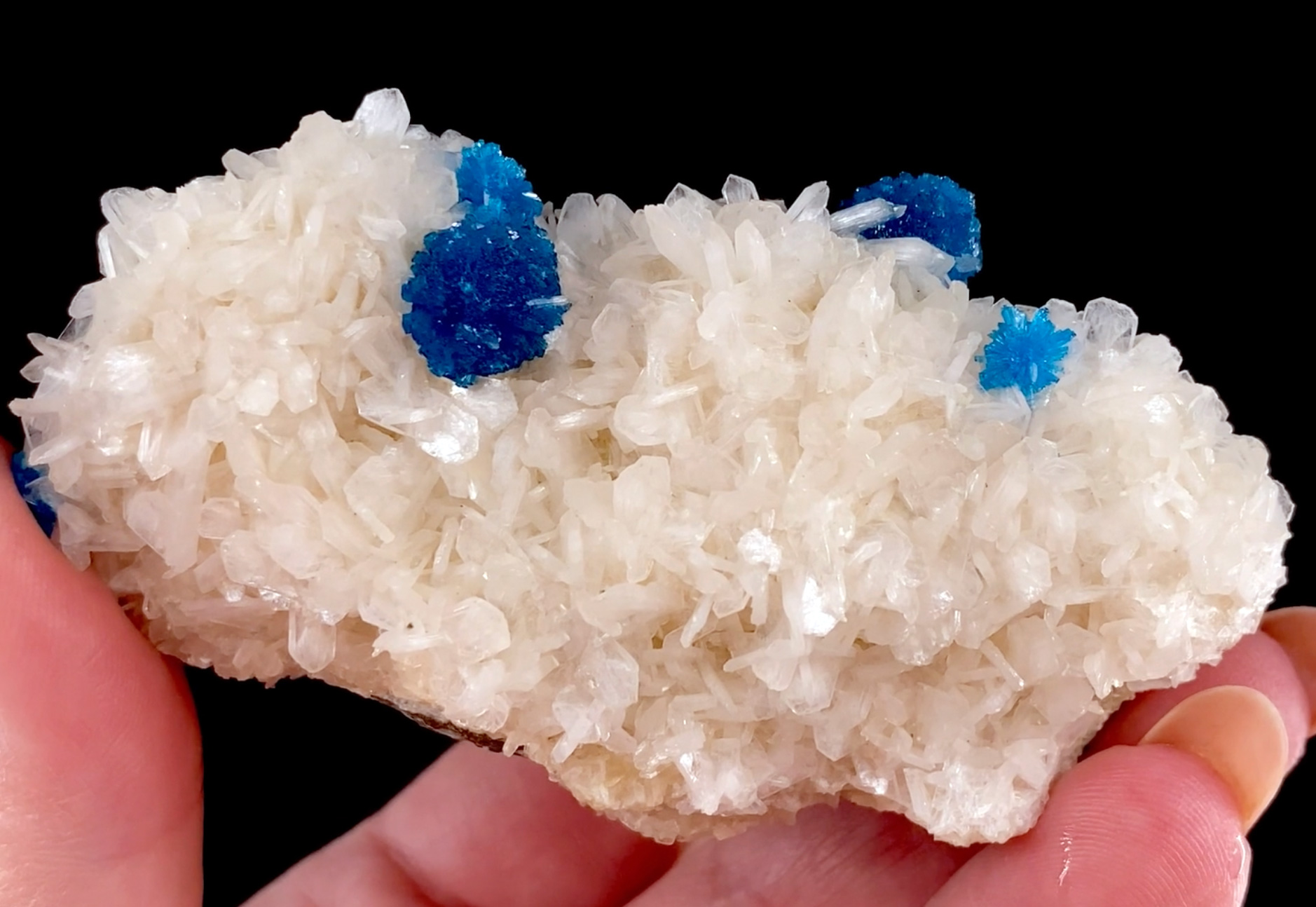 Cavansite on Stilbite-Ca - India