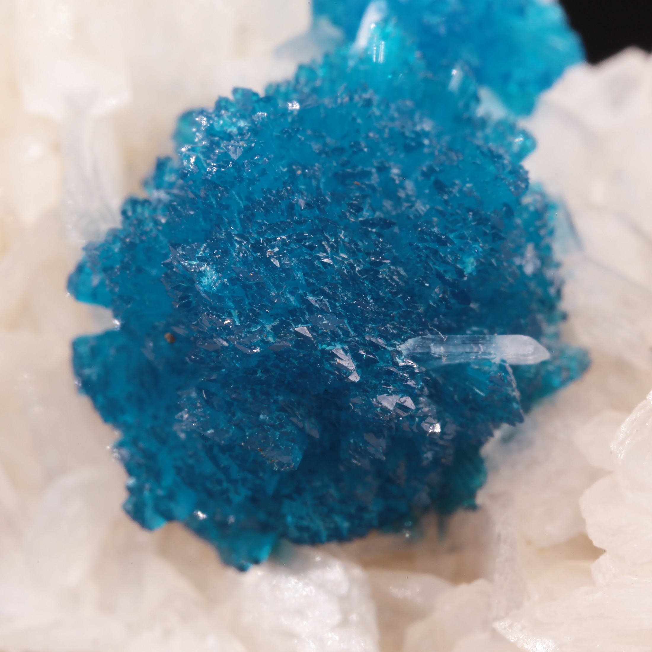Cavansite on Stilbite-Ca - India