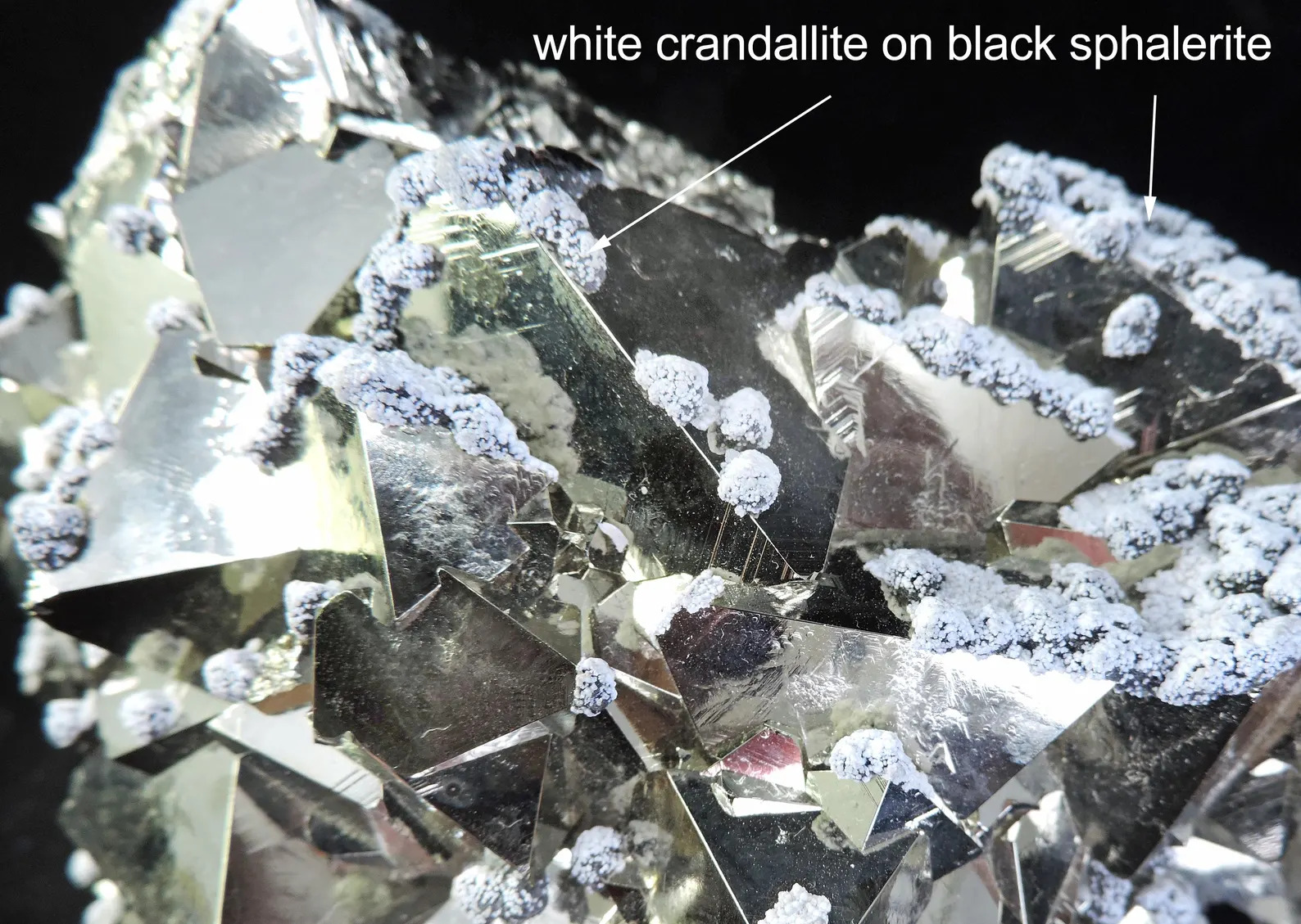 Pyrite - Octahedral with Snow-on-the-Roof Sphalerite - Huanzala Mine