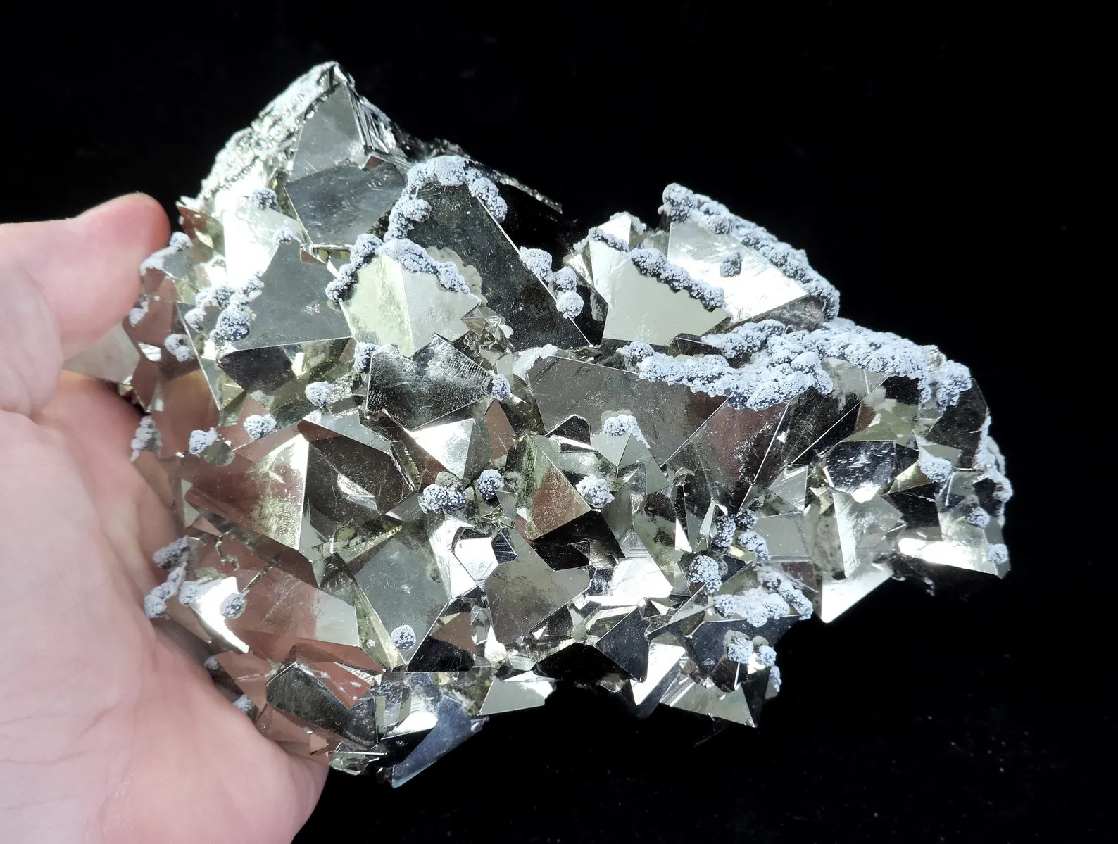 Pyrite - Octahedral with Snow-on-the-Roof Sphalerite - Huanzala Mine