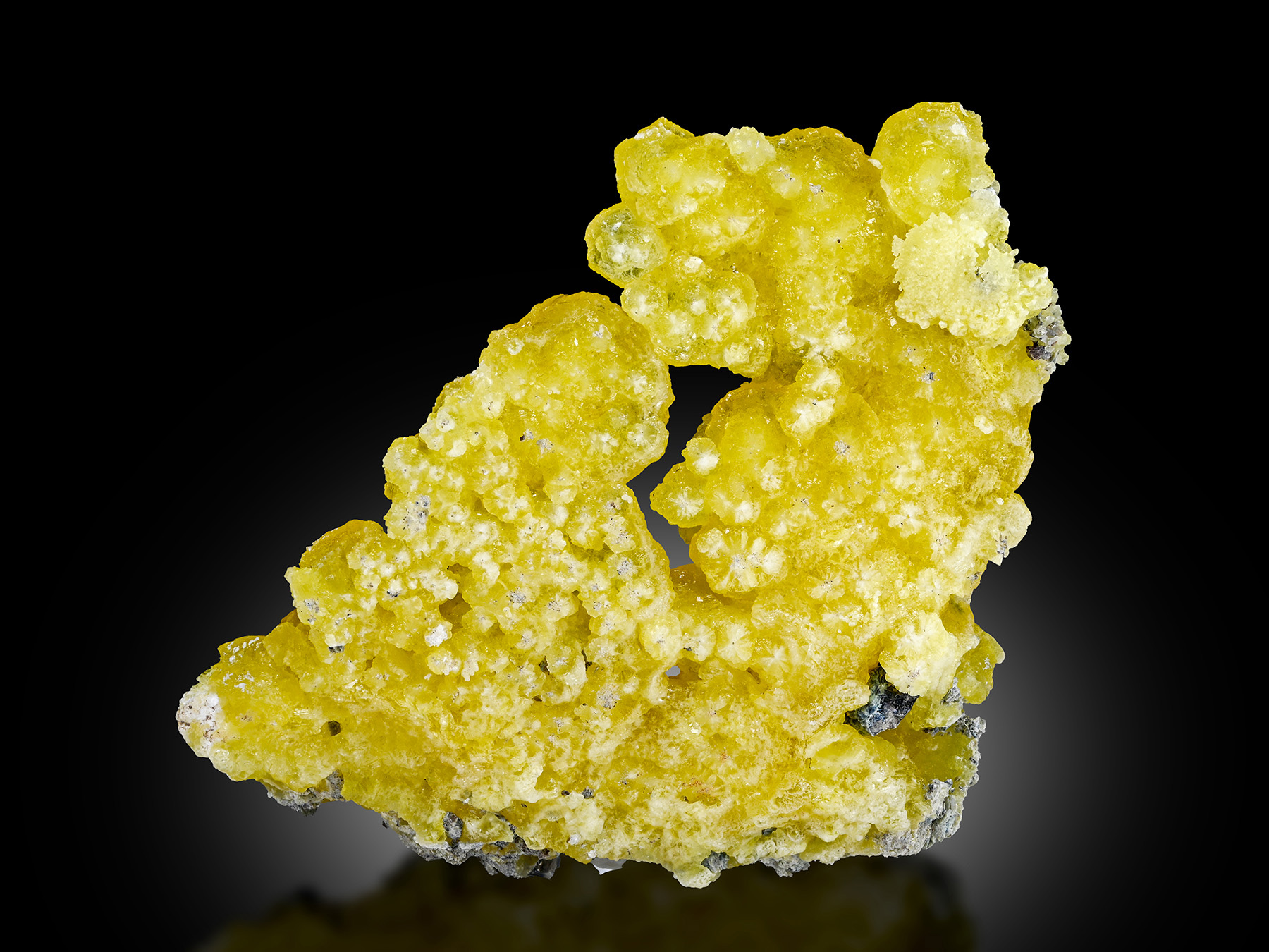 Brucite - Intensely Saturated Yellow - Pakistan