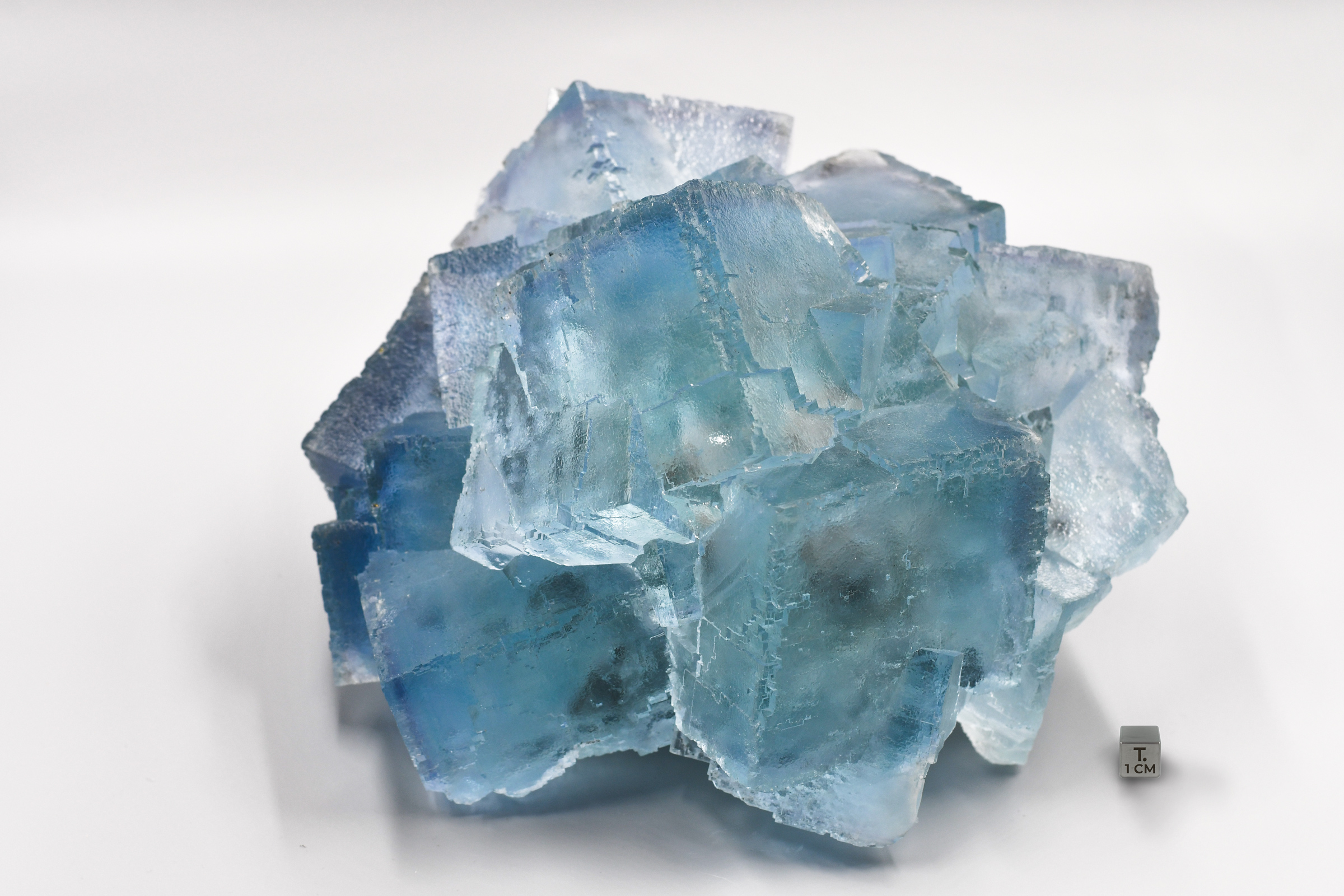 Fluorite - Museum-Grade Sky-Blue Crystal Group - La Viesca