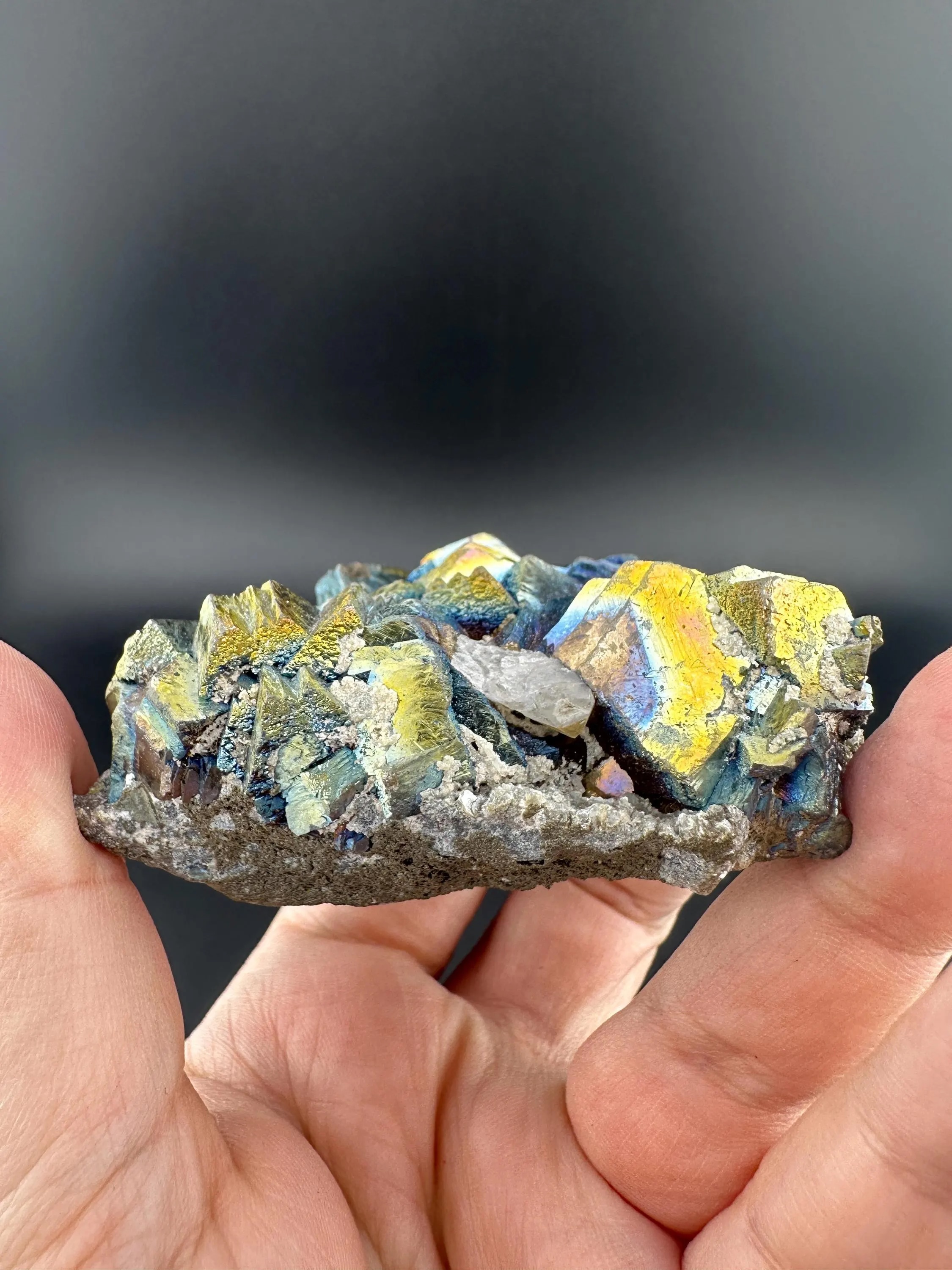 Arsenopyrite - Rainbow-Iridescent - Iconic Single-Pocket Specimen