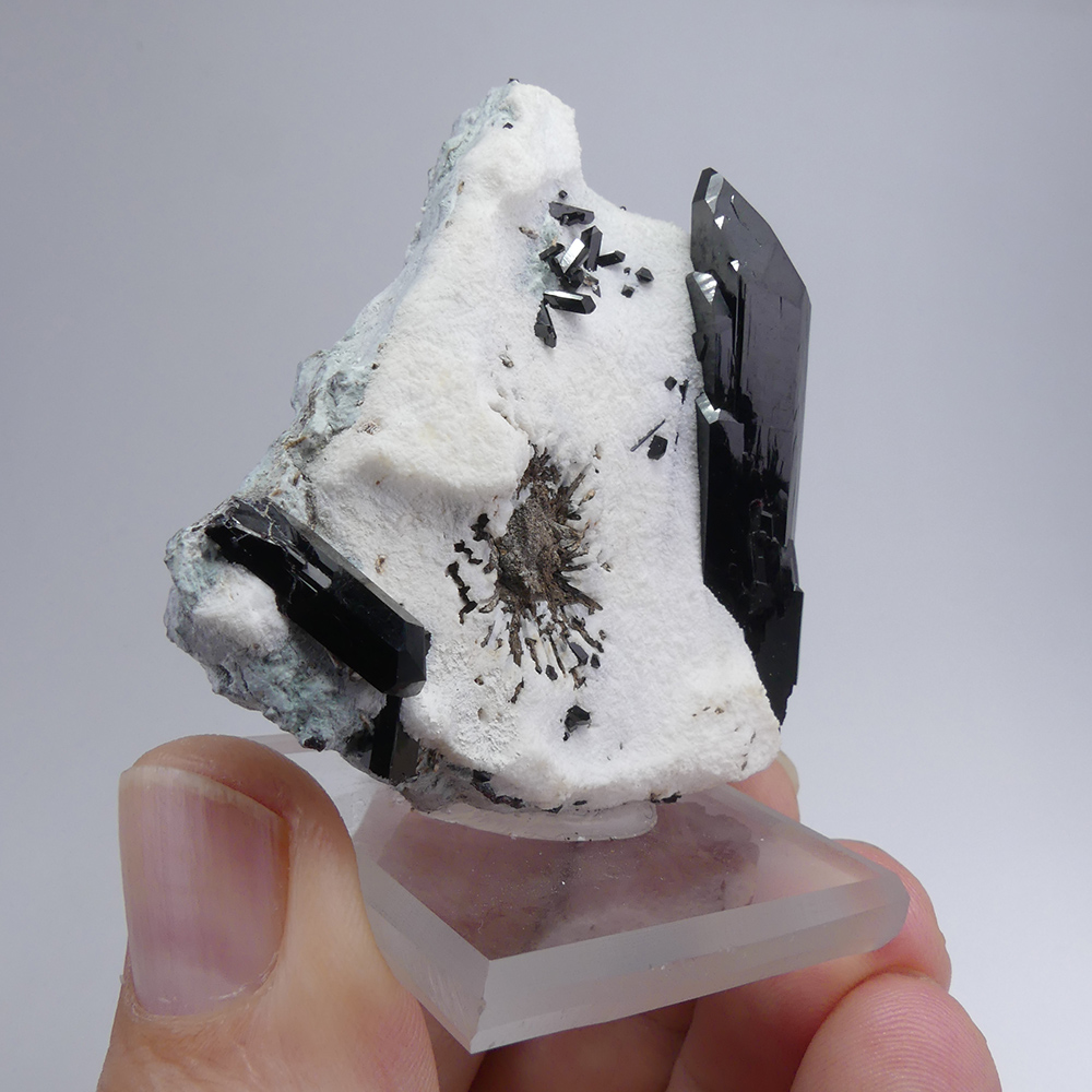 Neptunite on Natrolite - Classic San Benito Masterpiece