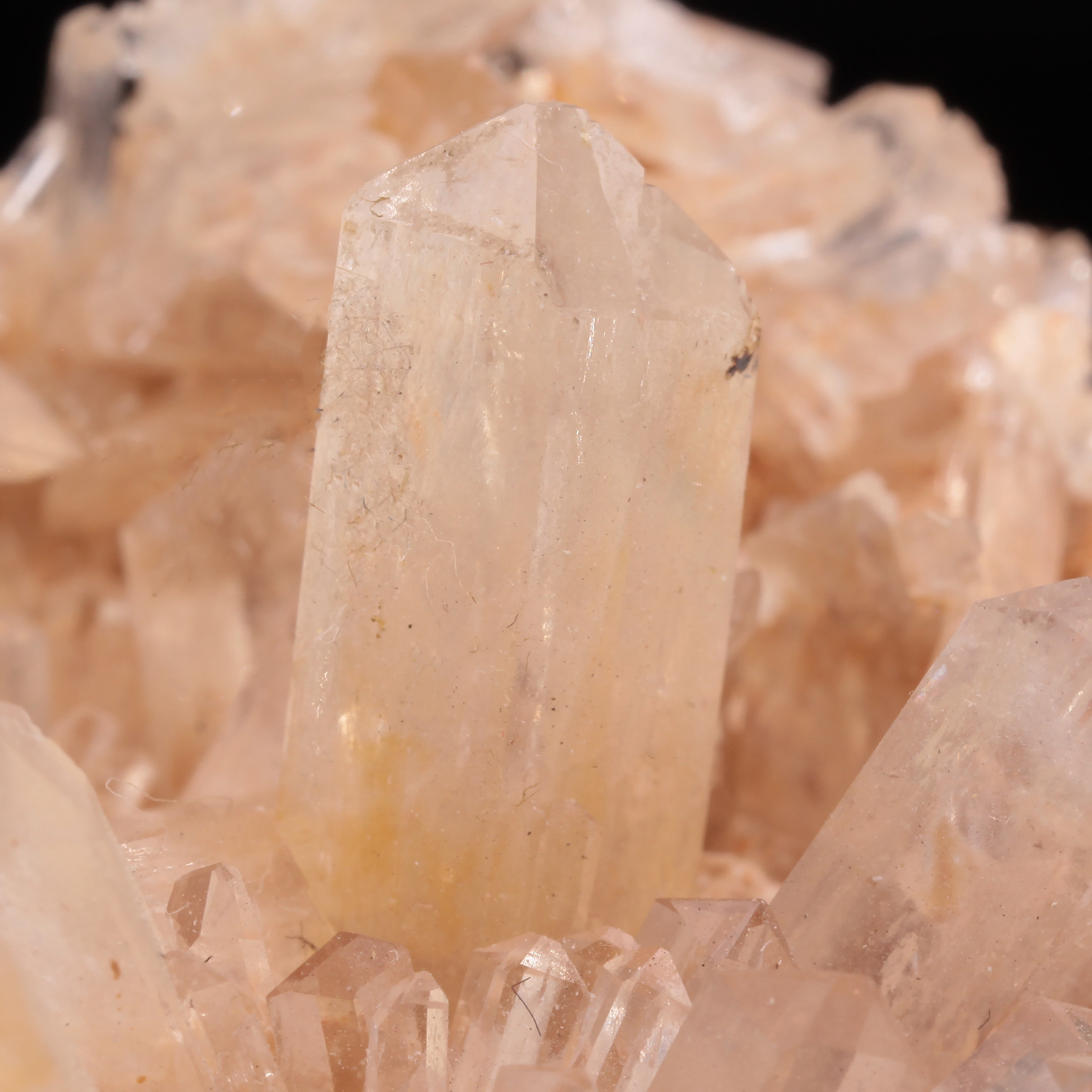 Creedite - Radiating Peach Crystals