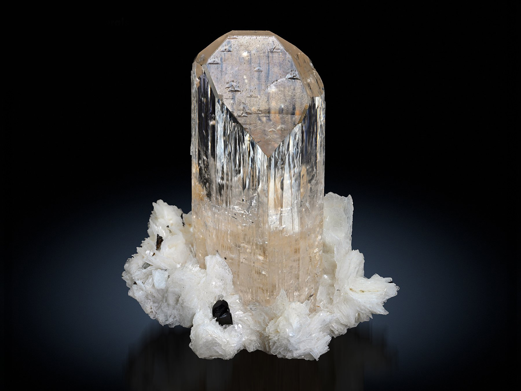 Topaz on Albite with Schorl - Gem with Exceptional Luster and Clarity